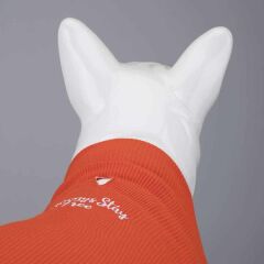 Always Stay Free Küçük ve Orta k Irk Köpek Tshirt Body