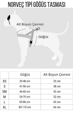 Morso Lipstick Norveç Tipi Köpek Göğüs Tasması – Sürdürülebilir, El Yapımı, INTENSE Polyester