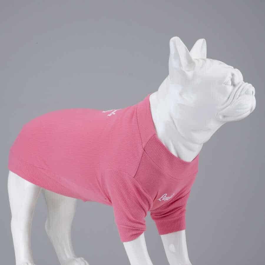 Lindodogs Cotton Candy Köpek T-Shirt Body