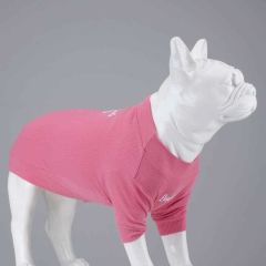 Cotton Candy Küçük, ve Orta Irk Köpek Tshirt Body