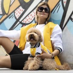 Lindo College California Köpek Sweatshirt