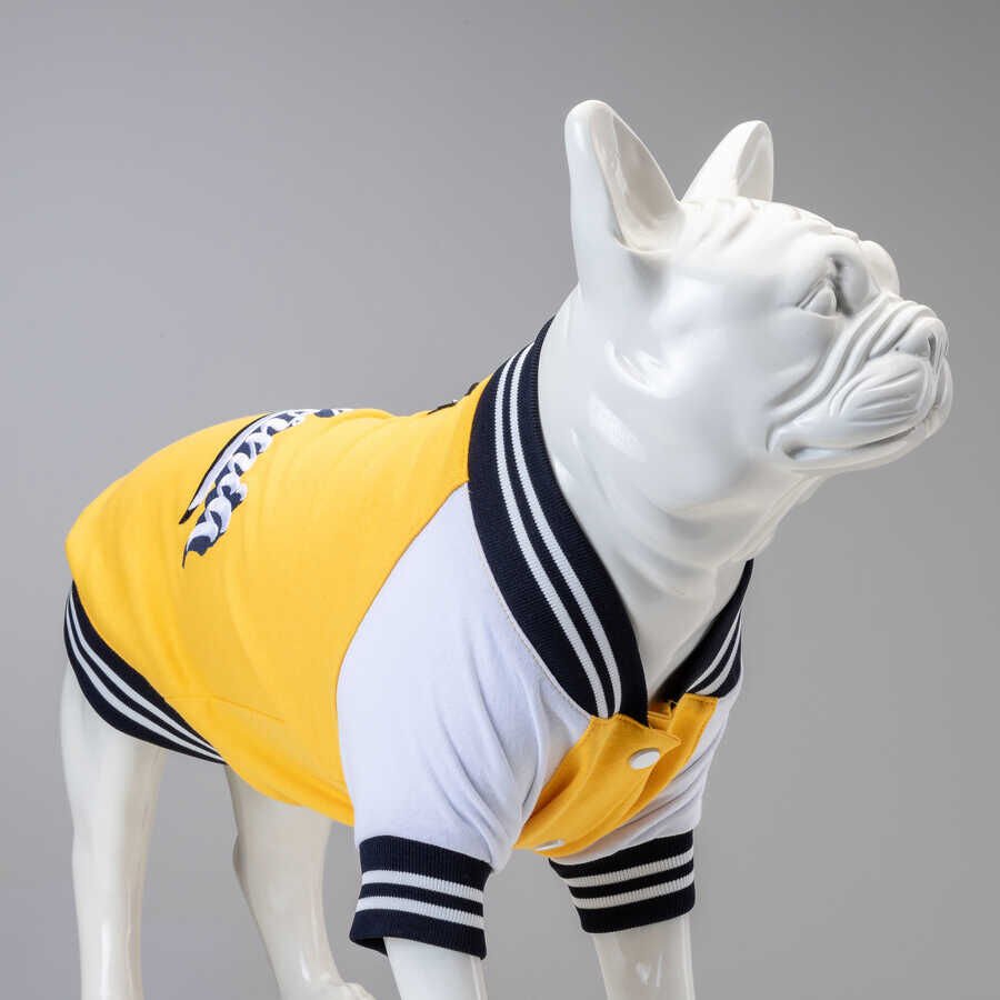 Lindo College California Köpek Sweatshirt