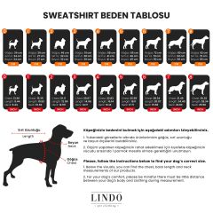 College California Küçük, Orta Ve Büyük Irk Köpek Sweatshirt
