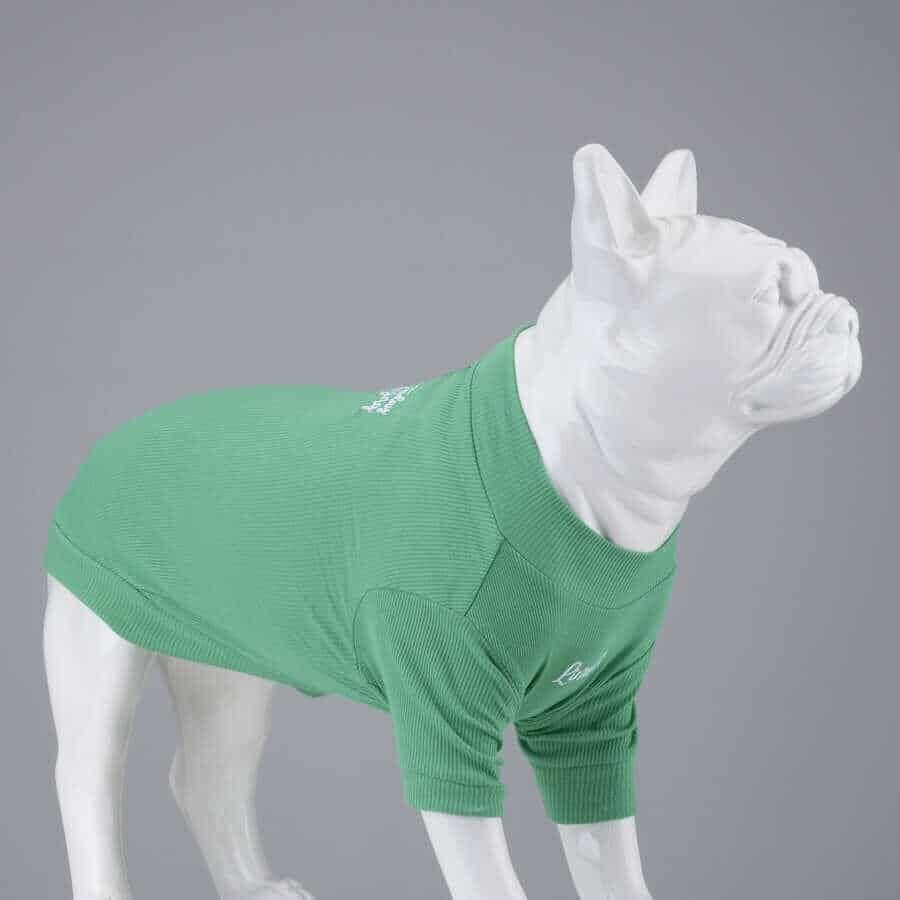 Lindodogs Make Today Amazing Köpek T-Shirt Body