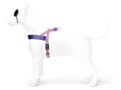 Morso Sweet Tweet Norveç Tipi Köpek Göğüs Tasması – Sürdürülebilir, El Yapımı, INTENSE Polyester