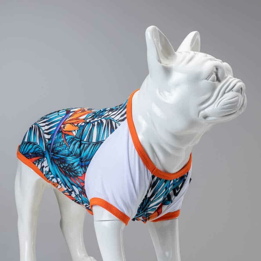 Amazon Küçük, Orta ve Büyük Irk Köpek Tshirt