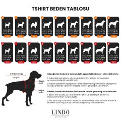 Amazon Küçük, Orta ve Büyük Irk Köpek Tshirt