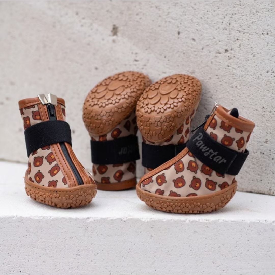 PDS02-Bears Köpek Ayakkabısı 3