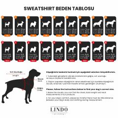 Sport Küçük ve Orta Irk Köpek Sweatshirt