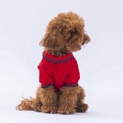 Kırmızı Marine Polo Yaka Tişört