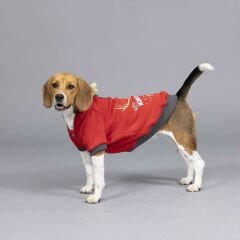 North Deer Kırmızı Küçük ve Orta Irk Köpek Sweatshirt