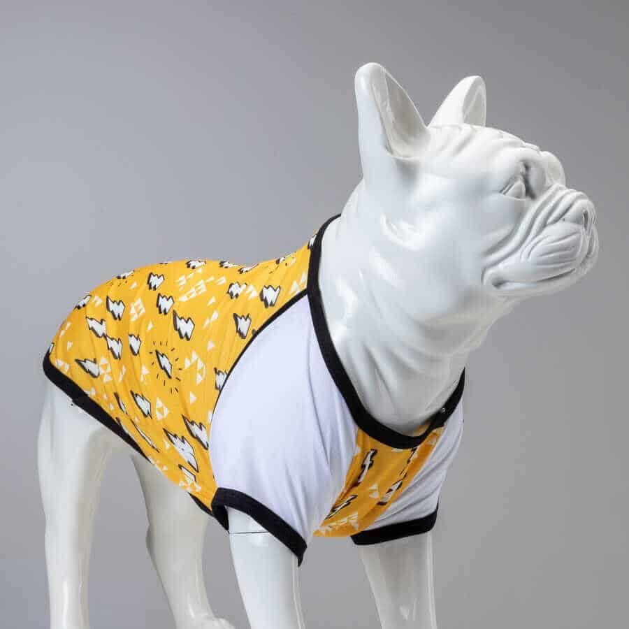 Flash Küçük, Orta ve Büyük Irk Köpek Tshirt