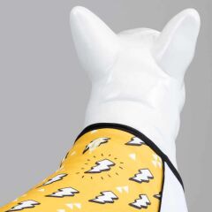 Flash Küçük, Orta ve Büyük Irk Köpek Tshirt