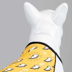 Lindodogs Flash Köpek T-Shirt