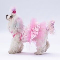 Pawstar Pembe Flora Köpek Elbisesi
