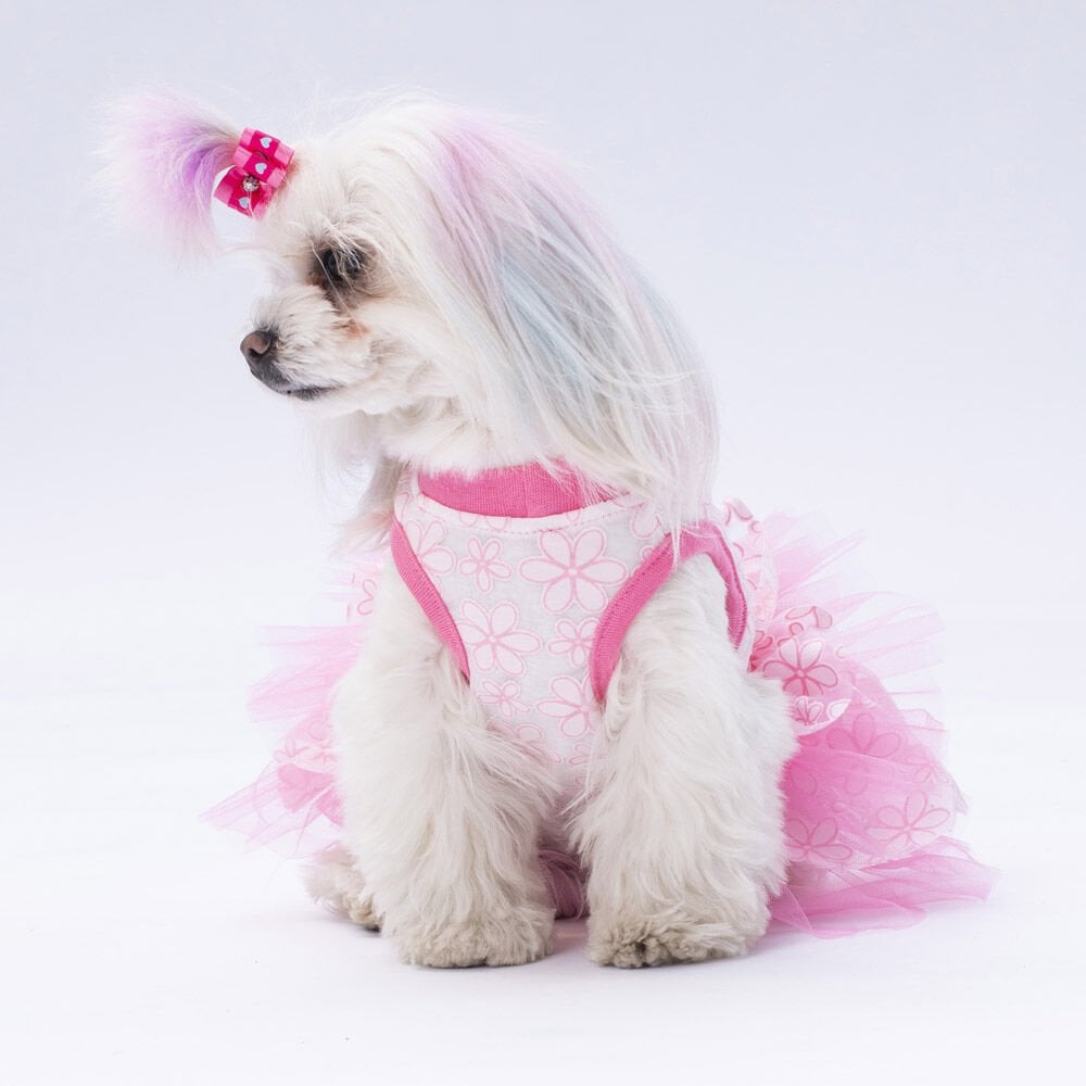 Pawstar Pembe Flora Köpek Elbisesi