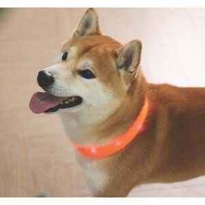 M-Pets Flash Led Işıklı Boyun Tasması Turuncu(S)