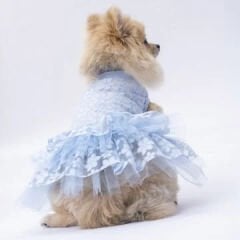 Pawstar Mavi Flora Köpek Elbisesi