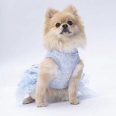 Pawstar Mavi Flora Köpek Elbisesi