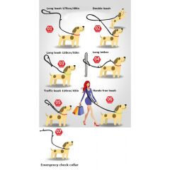 TrueLove Çok Amaçlı Gezdirme Kayışı Mavi – Small | Yansıtıcı ve Dayanıklı