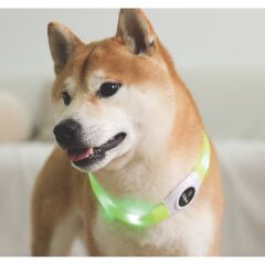 M-pets Flash Led Işıklı Köpek Boyun Tasması(L)