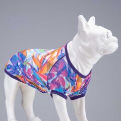 Lindo Violet Köpek Tshirt Beden: 1