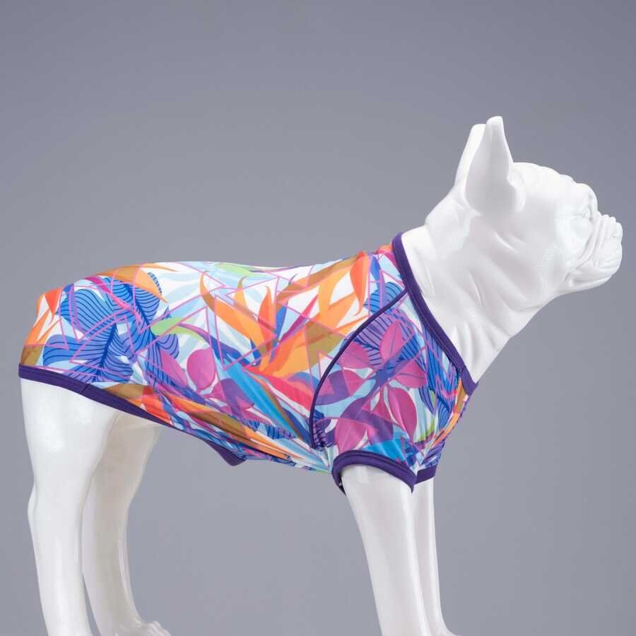 Lindo Violet Köpek Tshirt Beden: 1