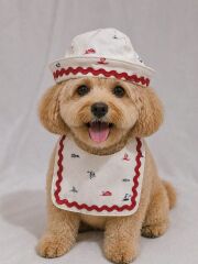Dogzade Kedi Köpek Yakalık Denizci (small)