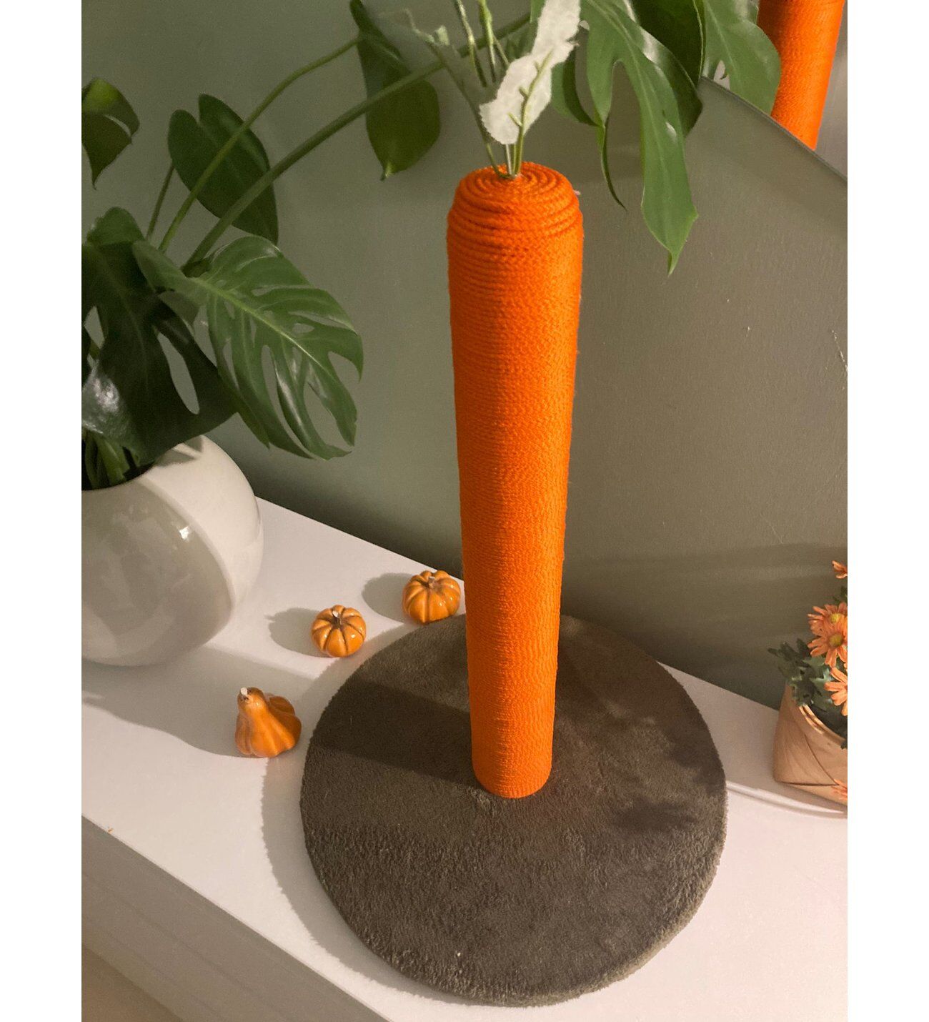 Cleapet Havuç Tırmalama 80 CM