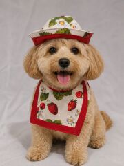 Dogzade Şapka Çilekli