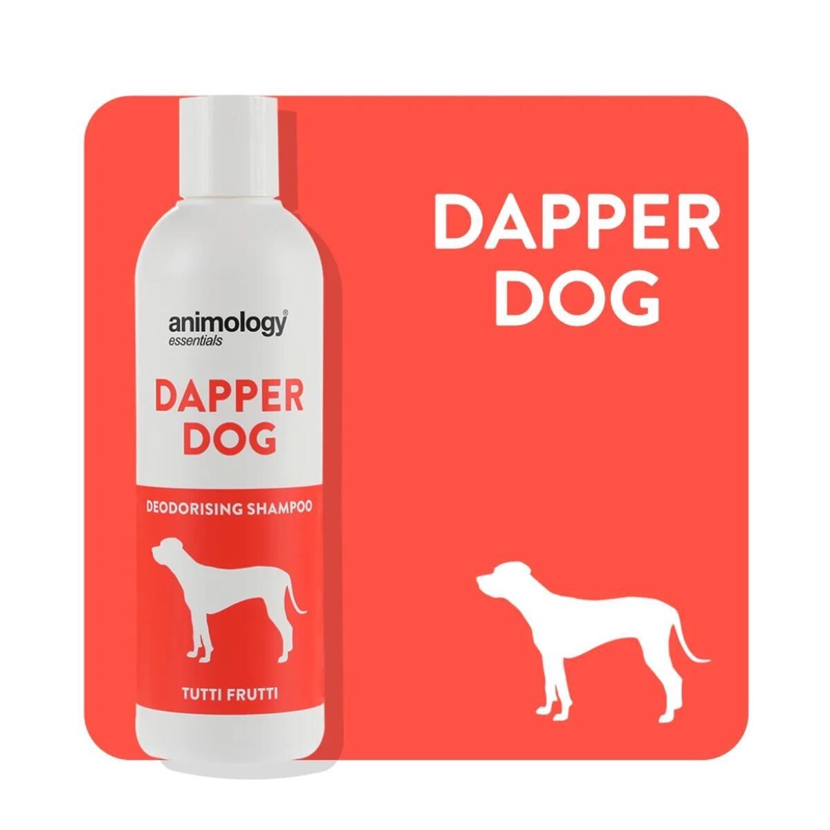 Essentials Dapper Dog Shampoo Köpek Şampuanı 250  ML
