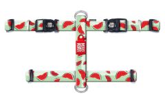 Max & Molly Watermelon Köpek Göğüs Tasması – Konforlu, Ayarlanabilir H Tipi Tasarım