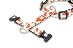 Max & Molly Watermelon Köpek Göğüs Tasması – Konforlu, Ayarlanabilir H Tipi Tasarım