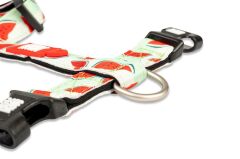 Max & Molly Watermelon Köpek Göğüs Tasması – Konforlu, Ayarlanabilir H Tipi Tasarım