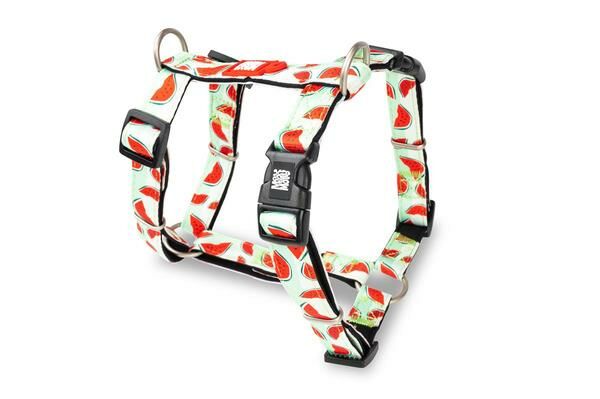 Max & Molly Watermelon Köpek Göğüs Tasması – Konforlu, Ayarlanabilir H Tipi Tasarım