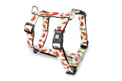 Max & Molly Watermelon Köpek Göğüs Tasması – Konforlu, Ayarlanabilir H Tipi Tasarım