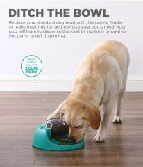 PetStages Dog Spin N' Eat Akıllı Mama Kabı (Bulmaca Mama Kabı)