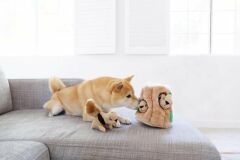 Petstages Hide A Squirrel XL Peluş Köpek Oyuncağı (Kahverengi)