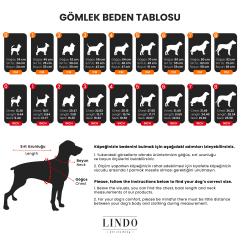 Lindodogs Urban Gömlek