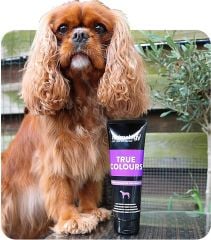 True Colours Renkli Tüylü Köpekler için Özel Şampuan 250 ml