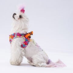 Pawstar Monsters Air-Mesh Göğüs Tasması – Nefes Alabilen ve Reflektörlü