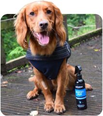Mucky Puppy Durulamasız Yavru Köpek  Şampuanı 250 Ml