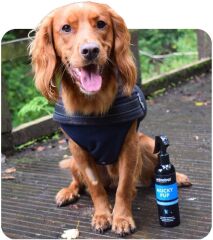 Mucky Puppy Durulamasız Yavru Köpek  Şampuanı 250 Ml