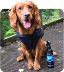 Animology Mucky Puppy Durulamasız Yavru Köpek Şampuanı 250 ML