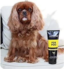 Fox Poo Kötü Kokular İçin Köpek Şampuanı 250 ML