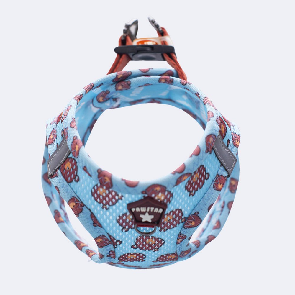 Pawstar Bears Air-Mesh Göğüs Tasması – Nefes Alabilen ve Reflektörlü