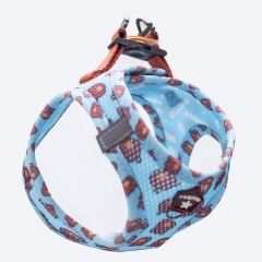 Pawstar Bears Air-Mesh Göğüs Tasması – Nefes Alabilen ve Reflektörlü