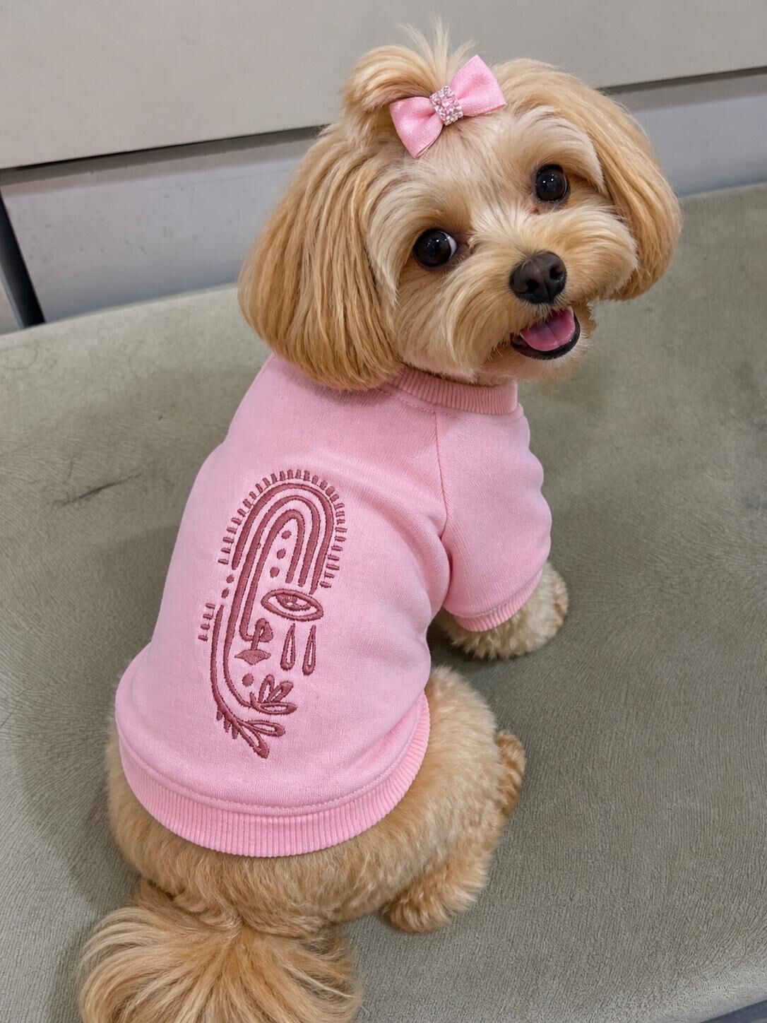 TAYGA PETS KÖPEK SWEATSHIRT PEMBE NO:3