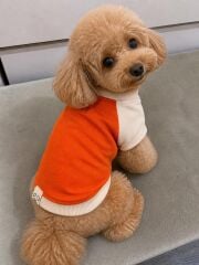 TAYGA PETS TURUNCU KÖPEK SWEAHSHIRT NO:5