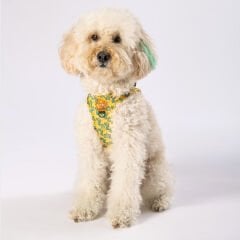 Pawstar Cactus Air-Mesh Göğüs Tasmas